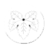 Escrime japonaise Bordeaux